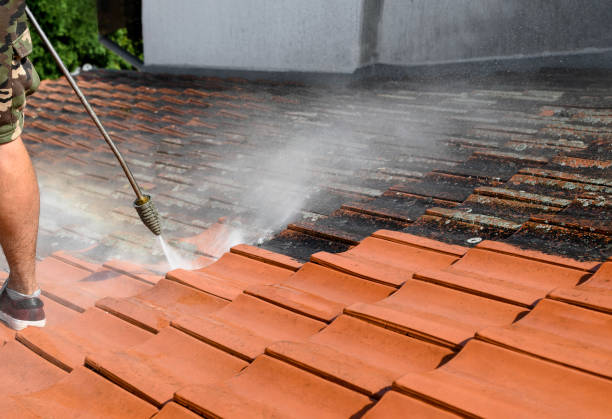 Best Power Washing Near Me  in Waconia, MN
