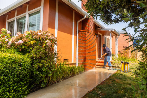 Best Pressure Washing Driveway  in Waconia, MN