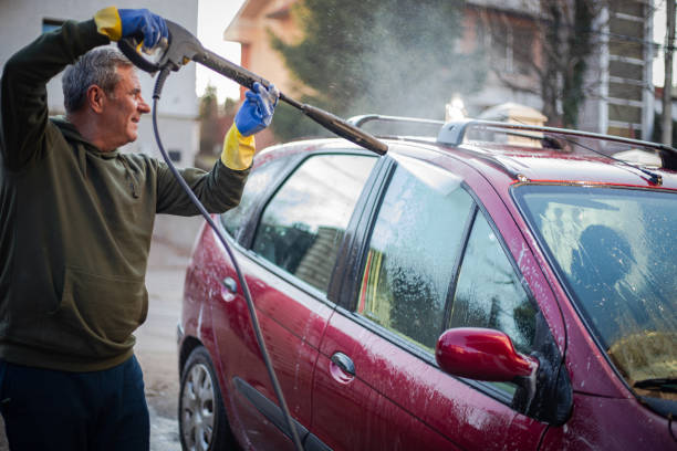 Best Roof Pressure Washing  in Waconia, MN